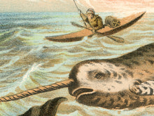 Load image into Gallery viewer, Vintage Whale Illustration Poster – Narwhal, Beluga &amp; Rorqual Ocean Art Print – Antique Marine Biology Wall Decor – Natural History

