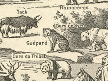 Load image into Gallery viewer, Vintage Asia Map Illustration T-Shirt – Antique Animals, Old World Travel, Curiosity Cabinet Art Tee
