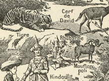 Load image into Gallery viewer, Vintage Asia Map Illustration T-Shirt – Antique Animals, Old World Travel, Curiosity Cabinet Art Tee
