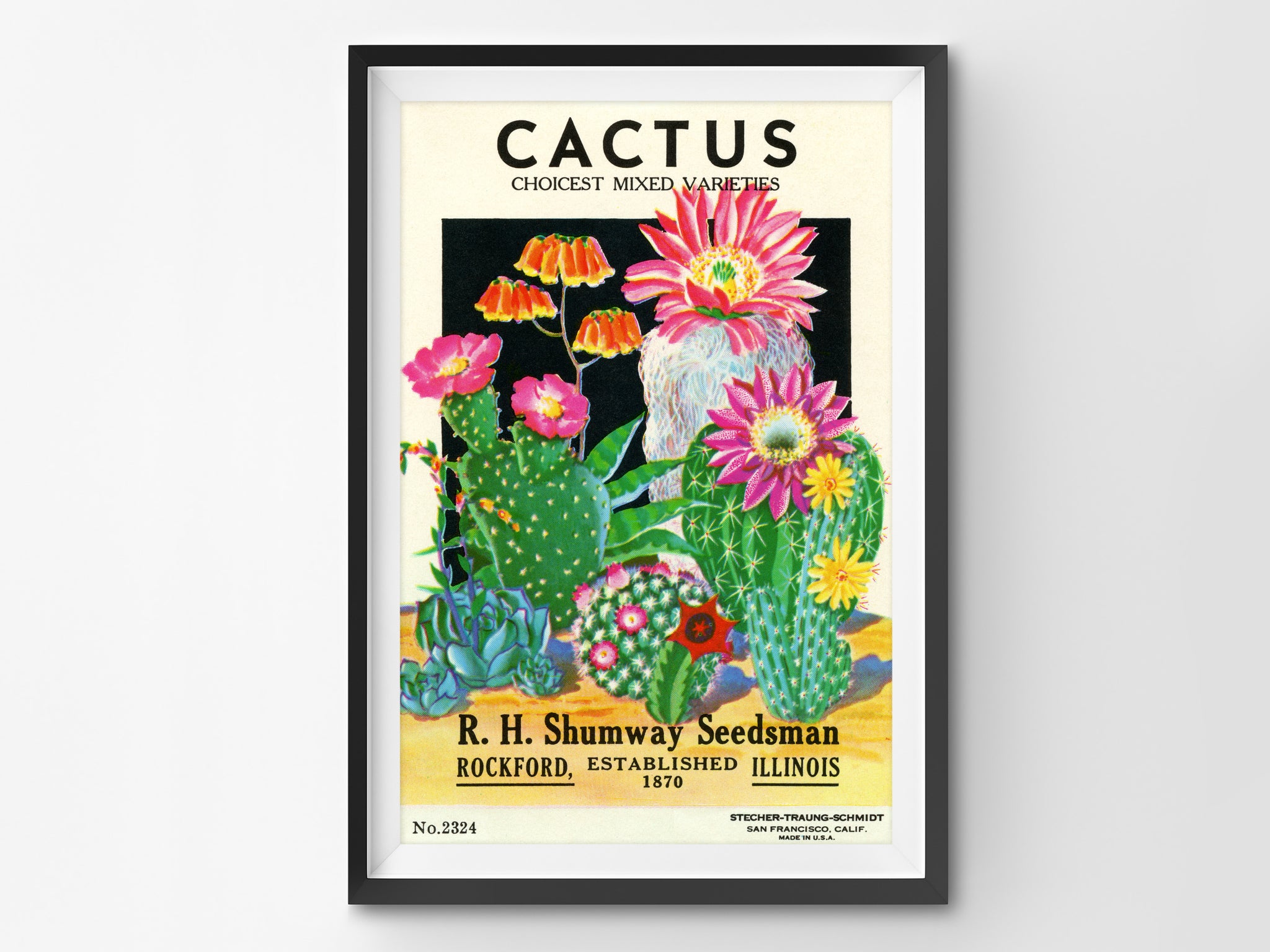 vintage succulent poster Cactus Vintage Seed Packet POSTER! (up to 24" x 36") - Southwest