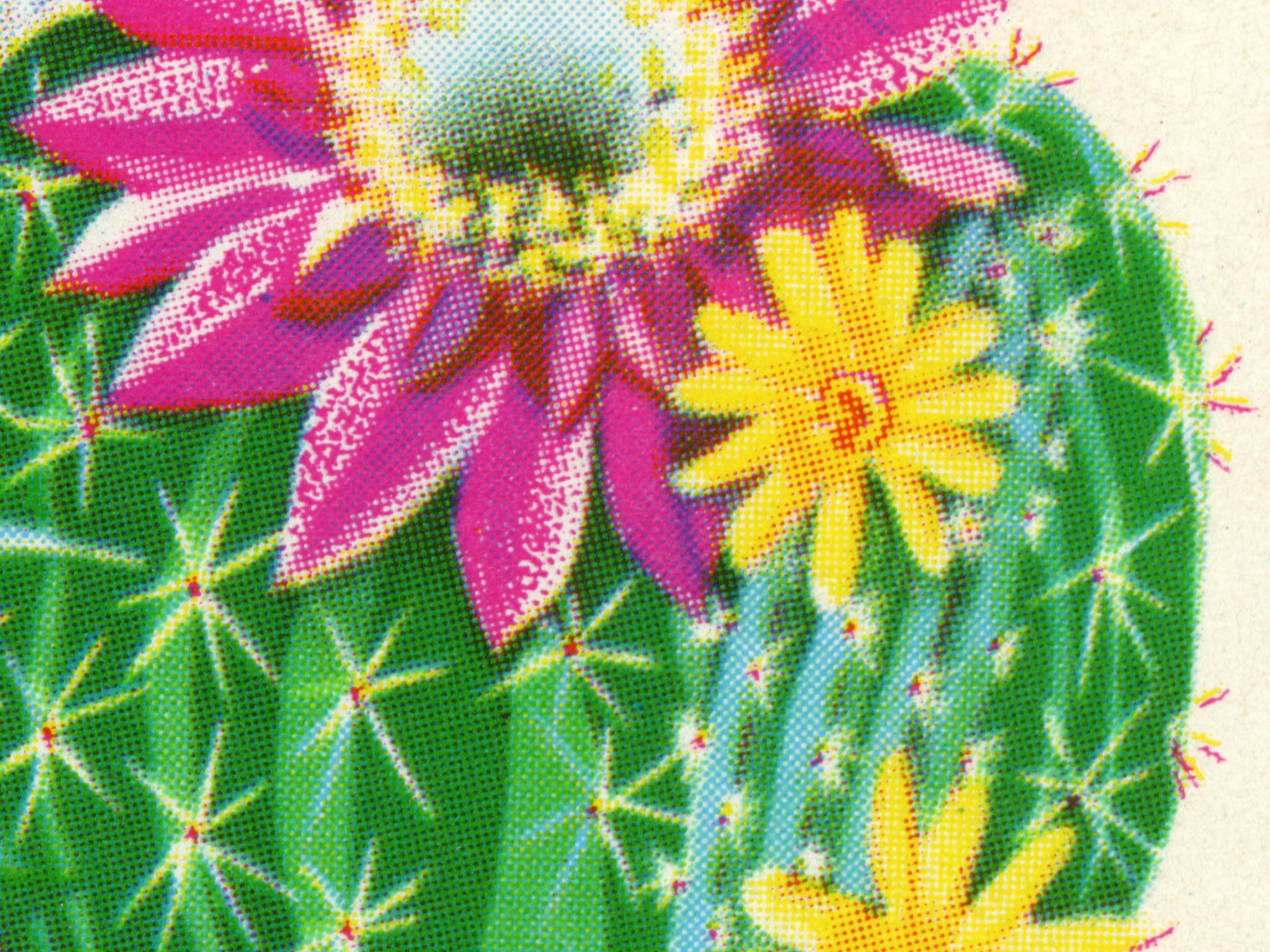 vintage succulent poster Cactus Vintage Seed Packet POSTER! (up to 24" x 36") - Southwest