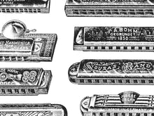 Load image into Gallery viewer, Antique Harmonica Poster, 1904 Catalog Music Print, Vintage Music Wall Art
