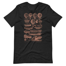 Load image into Gallery viewer, Vintage Dirigibles T-Shirt - 1931 French Dictionary Balloons Image
