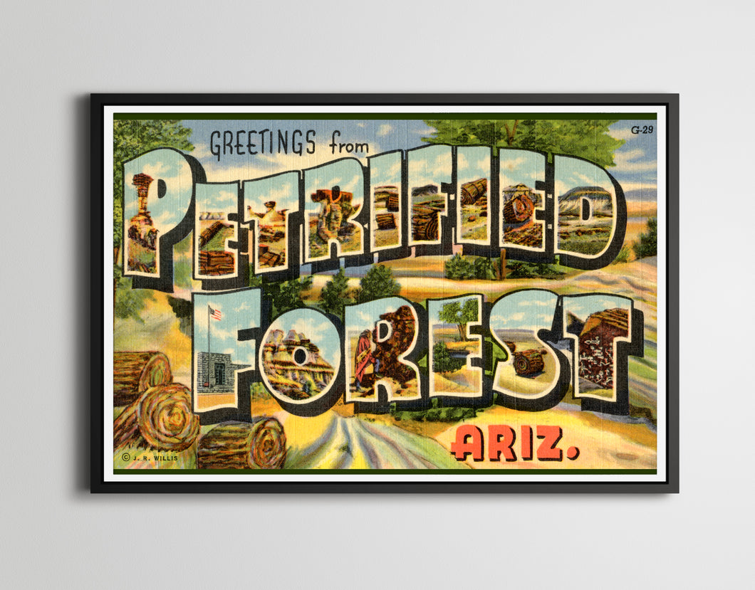 PETRIFIED FOREST Arizona Vintage POSTER! (up to 24