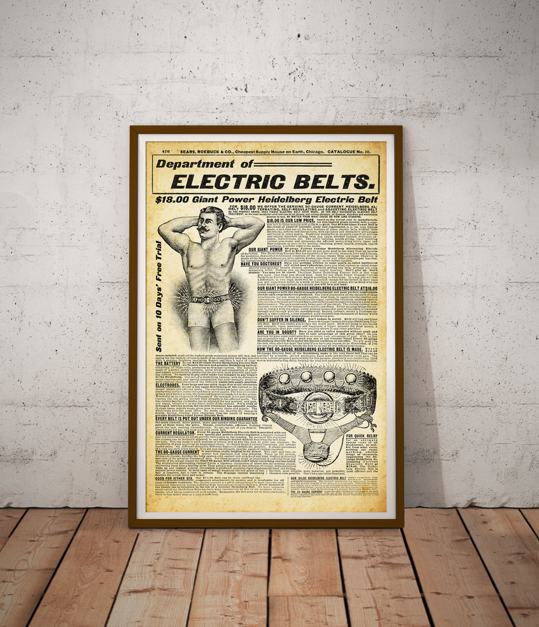 1902 SEARS Catalog Electric Belt POSTER! (24