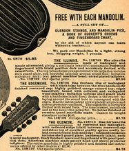 Load image into Gallery viewer, 1902 MANDOLINS Catalog Page POSTER! - Sears -Victorian - Instruments - Music
