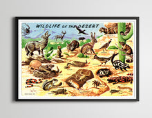 Load image into Gallery viewer, 1958 Wildlife of the Desert POSTER! (24&quot; x 36&quot; or Smaller) - Vintage Postcard - Southwest
