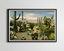 Load image into Gallery viewer, Vintage Desert Cacti POSTER! (up to full-size 24 x 36) - 1945 - Postcard - Cactus - Southwest - Antique - Joshua Tree - National Parks
