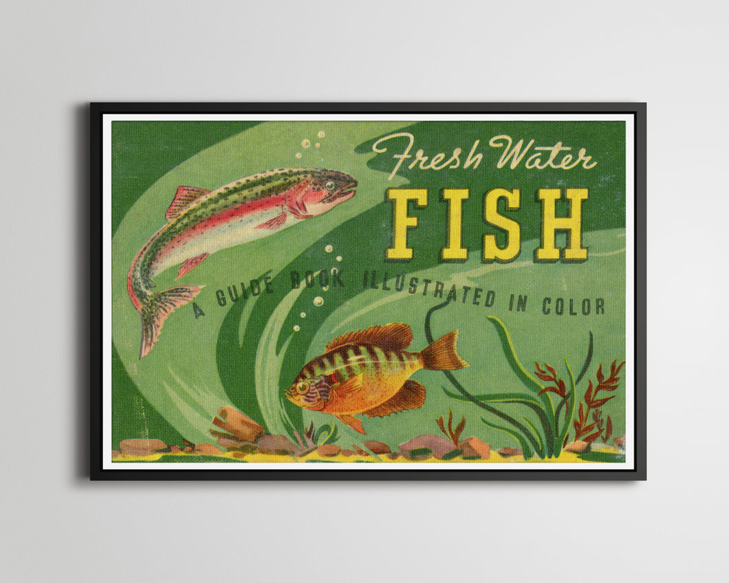 1939 Freshwater FISH Guide POSTER! (up to 24