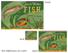 Load image into Gallery viewer, 1939 Freshwater FISH Guide POSTER! (up to 24&quot;x36&quot;) - Fishing - Fisherman - Bass - Trout
