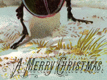 Load image into Gallery viewer, Victorian Christmas Trade Card POSTER! - up to 24&quot; x 36&quot; - Merry - Beetle - Bugs - Macabre - Holidays - Xmas - Gifts - Unusual - Insects
